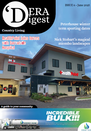 DDM Issue 6
